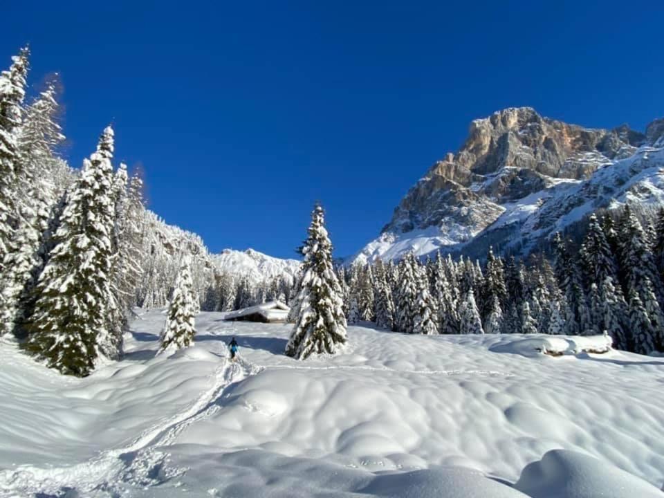 Готель Chalet Pra Delle Nasse Сан-Мартіно-ді-Кастроцца Екстер'єр фото